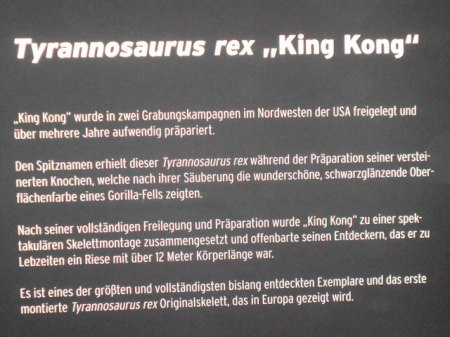 Erläuterungen zum ausgestellten T-Rex.JPG