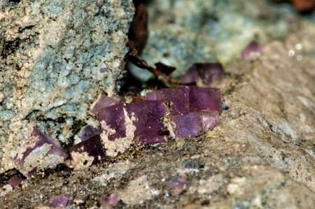 Nr.6-5 Fluorit,violet Alland.jpg