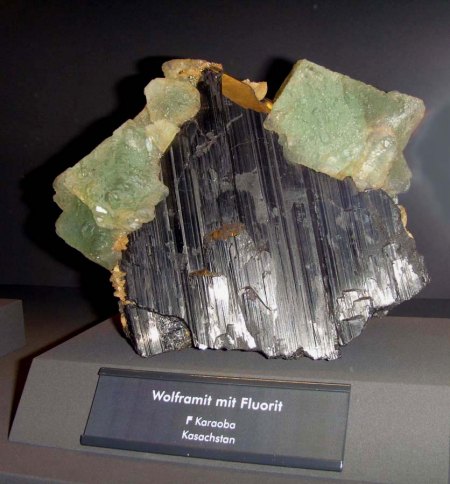 _terra mineralia_Wolframit mit Fluorit_Karaoba_Kasachstan_Peter_16.10.10.JPG