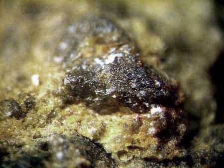 _Meteorit_NWA 1877_Olivin Diogenit_Olivin_u.a._Marokko_Algerien_Fund 2003_MM_1c_Peter.jpg