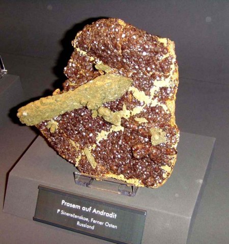_terra mineralia_Prasem auf Andradit-Granat_Ferner Osten_Russland_Peter_16.10.10.JPG