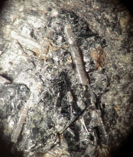 _Hydroxylapatit xx in Basalt_EF 5.7.17_BB 6 mm_Schw. Steinkaut_Erbsenacker_WI-Naurod_Hessen_Ts_Peter_3.JPG