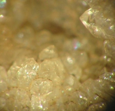 Eines der seltensten Kamsdorfer Minerale ist kurioserweise der Quarz. Hier als winzige wasserklare Bergkristalle im Kalk des Großen Tagebaus.jpg