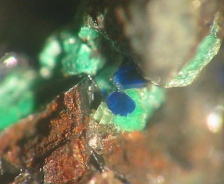 Gut ausgebildete, knapp mm-große Azurit-Kristalle neben farblosem Cerussit und etwas Malachit. Von der Grube Eiserner Johannes.jpg