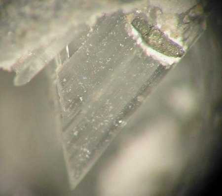 5 mm großer, klarer Gips-Kristall..jpg