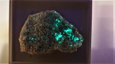 Ottohahnit bei kurzwelligen UV-Licht Blue Lizard Mine,Red Canyon,Utah.jpg