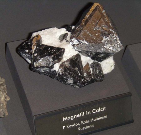 _terra mineralia_Magnetit in Calcit_Kovdor_Kola-Halbinsel_Russland_Peter_16.10.10.JPG