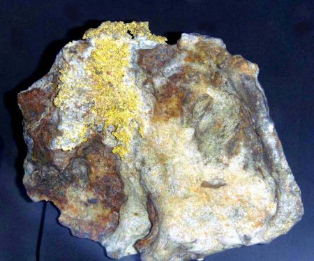 _terra mineralia_Gold auf Quarz_Brusson_Aosta Tal_Italien_Neuzugang 2010_Peter_16.10.10.JPG