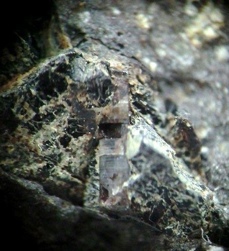 Hydroxylapatit x 5 mm_Magnetit_Basalt_Schwarze Steinkaut_Erbsenacker_Naurod_Hessen_Ts._EF 06.20_Peter_1.JPG