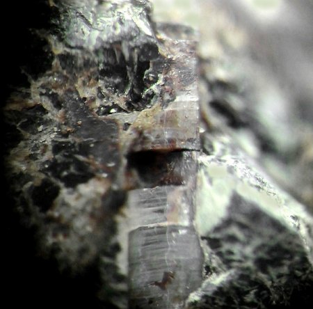 Hydroxylapatit x 5 mm_Magnetit_Basalt_Schwarze Steinkaut_Erbsenacker_Naurod_Hessen_Ts._EF 06.20_Peter_2.JPG