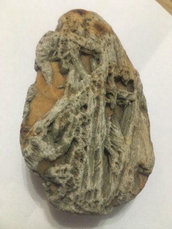 Stein aus Bachbett der Maggia