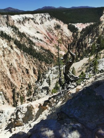 Bild2 Canyon, rötliche Wand