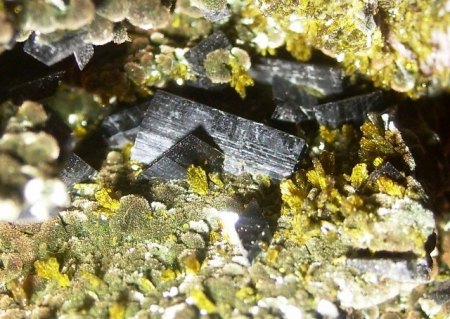 Babingtonit auf Epidot und Ferropumpellyit, Kristall 1,2cm lang.jpg