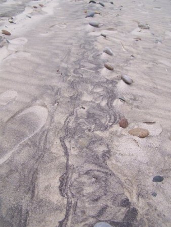 dänischer Sand.jpg