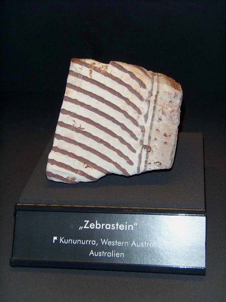 _terra mineralia_Zebrastein_Kununurra_Western Australia_Australien_Peter_17.10.10.JPG