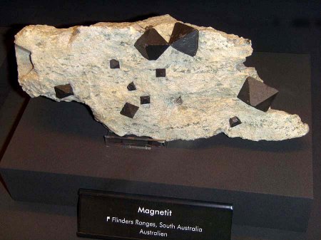 _terra mineralia_Magnetit_Flinders Ranges_Südaustralien_Peter_16.10.10.JPG