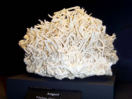 _terra mineralia_Aragonit-Geschlängel_Dachang_China_Peter_16.10.10.JPG