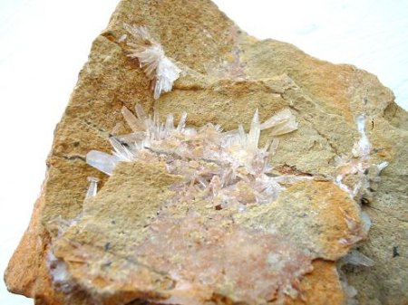 Farblose Aragonitkristalle bis 1 cm Länge aus dem Tagebau Nord II.jpg