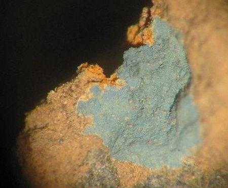 Blauer Vivianit als Blaueisenerde aus dem Diluviallehm im Tagebau Nord I.jpg