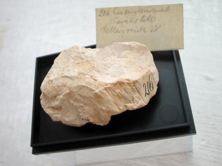 Auch dieses sehr alte Stüfchen aus Teratolith (Steinmark, Kaolinit) soll laut Etikett aus Ullersreuth sein. Verzeichnet ist das Vorkommen nicht, kann aber auch nicht ausgeschlossen werden..jpg