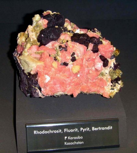 _terra mineralia_Rhodochrosit Fluorit Pyrit Bertrandit_Karaoba_Kasachstan_Peter_16.10.10.JPG