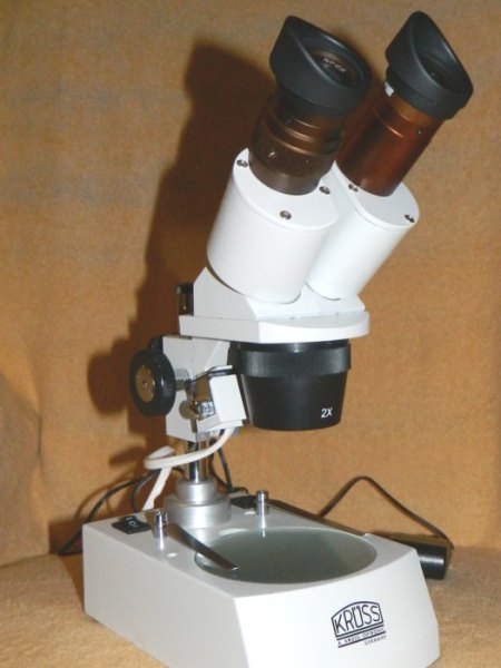 Mikroskop (3).jpg