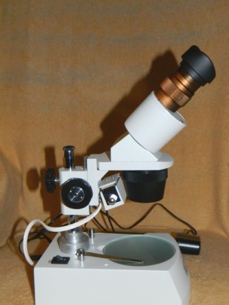Mikroskop (2).jpg