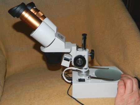 Mikroskop (1).jpg