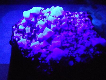 Fluorit xx im UV-Licht Rogeley-Mine Wheardale,EnglandRSCN8494.JPG