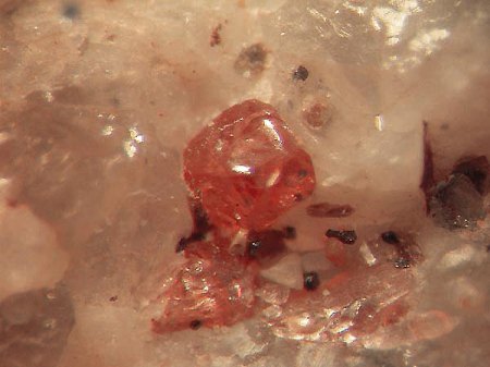 Rhodolith x Mischkristall Almandin-Pyrop_Granat-Gruppe_BB 4mm_Beruwala_Westküste Sri Lanka_Asien_Eigenfund 0685_Peter.jpg