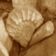 Fossilien aus Europa Fossilien aus Europa