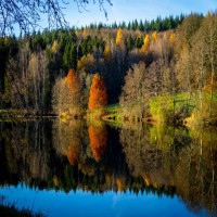 Glashütter Weiher - Saarland